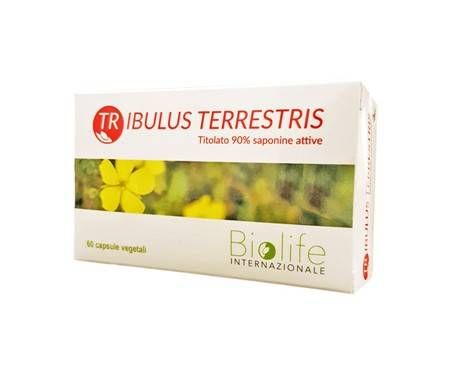 TRIBULUS TERRESTRIS 60CPR