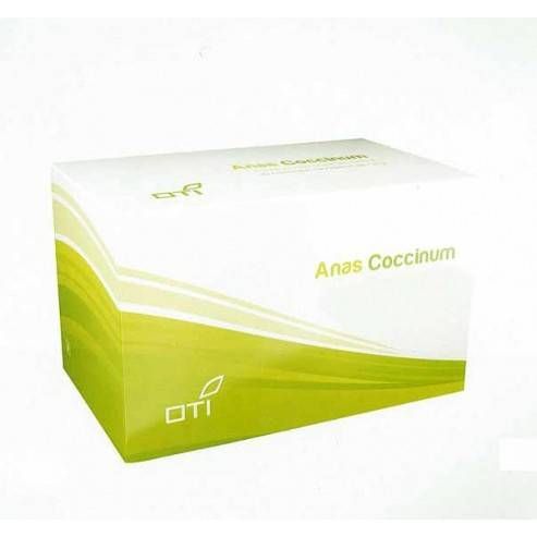 Anas Coccinum H 17 - Oti - Globuli - 30 tubi dose